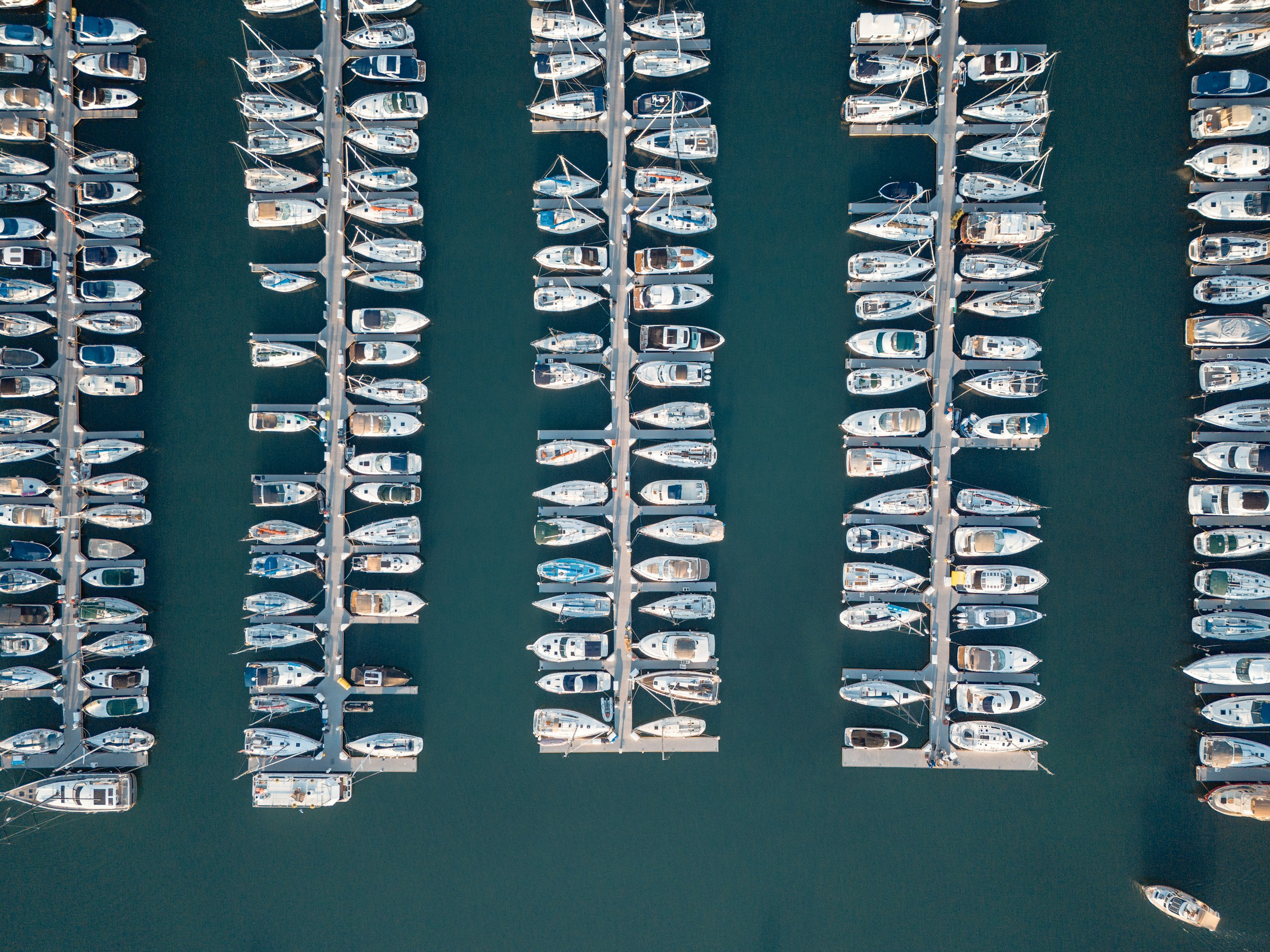 Aerial view of boats lined up in marina slips